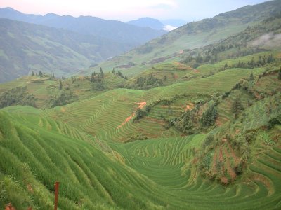 Dragon Backbone Rice Terraces Ping An Longsheng