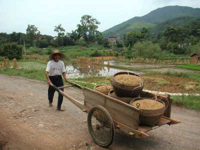 boer omgeving Yangshuo